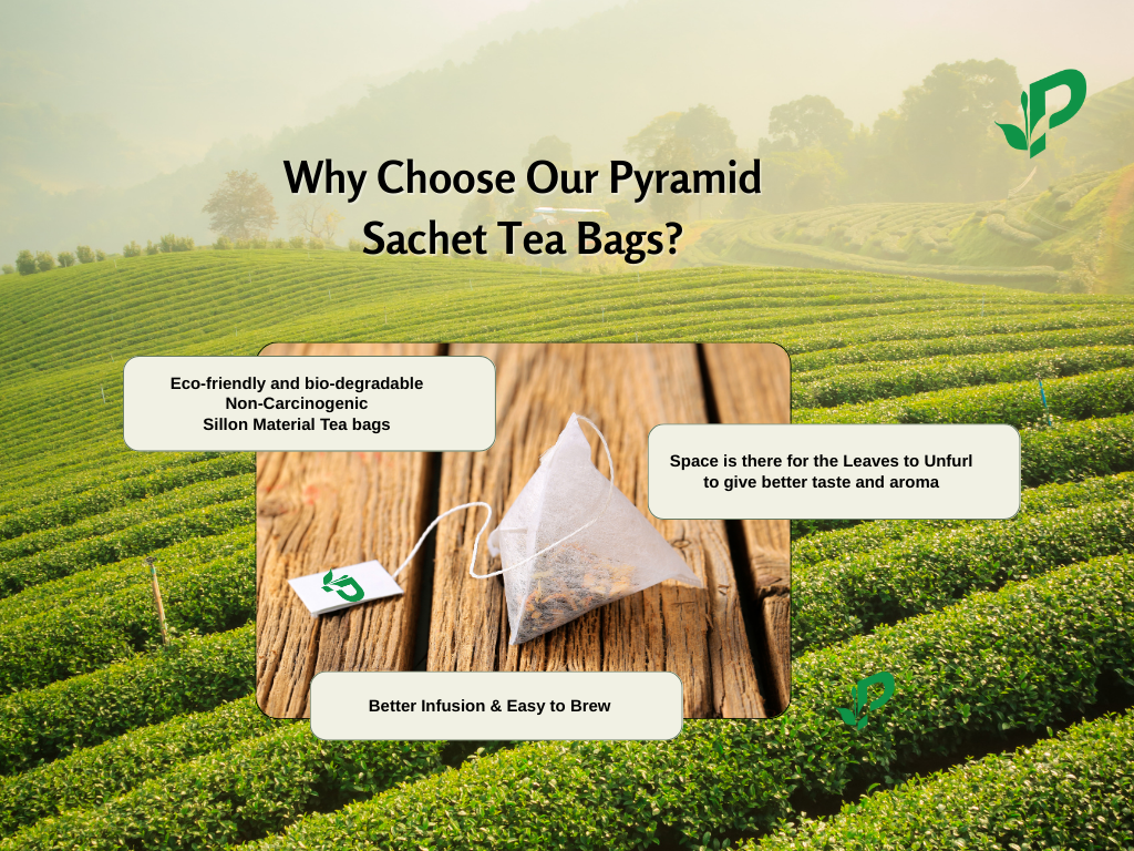 Pembroke Tea pyramid sachet quality - leaves unfurl for best flavor - ecofriendly pyramid tea sachets