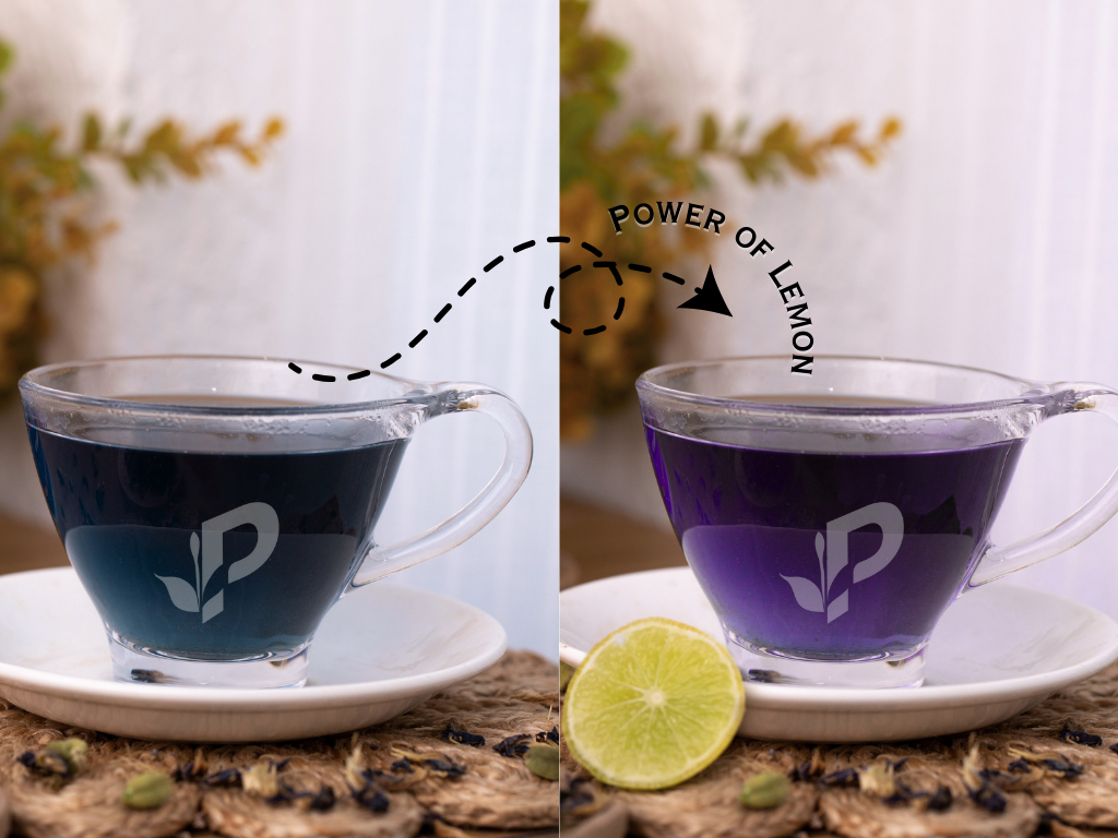 Blue Pea Cardamom Green Tea brewed showing beautiful blue color becoming purple with a lemon squirt